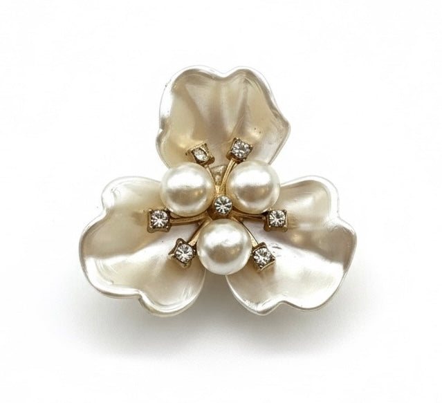 Vanilla Ice-cream (set of 2)